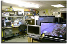Service Reparatii TV-LCD-LED-Plasma Popesti-Leordeni Reparatii Monitoare Plasma Popesti Leordeni - Sector 4 Bucuresti - BT Grup SRL 